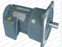 motor Giảm Tốc Wansin(GV)